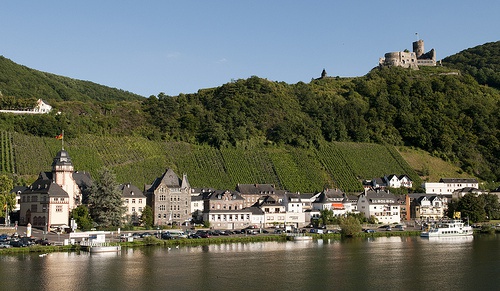 Viticulture in the Upper Moselle region