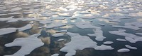 When will the summer Arctic be nearly sea ice free?