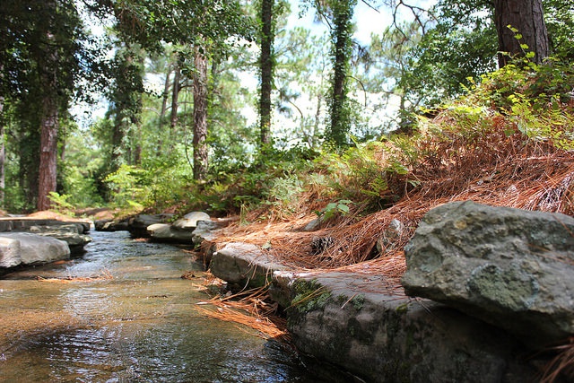 Forest management can mitigate climate change effects on streamflow