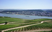 The River Rhine is heating up in response to climate change