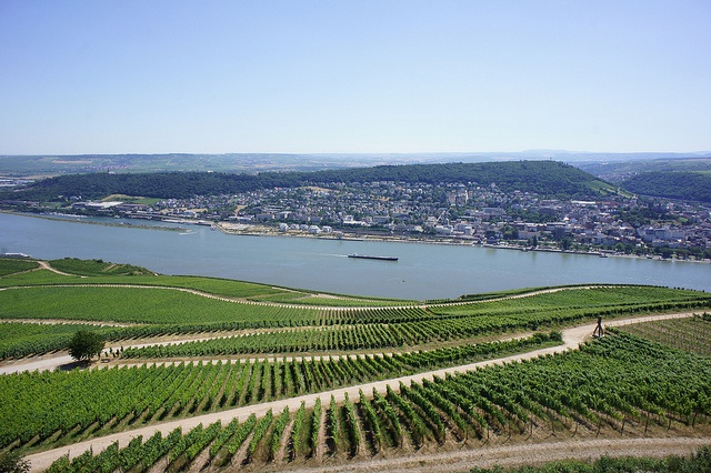 The River Rhine is heating up in response to climate change