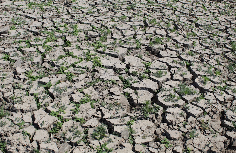 Droughts in the soil increase much less than droughts at the earth surface