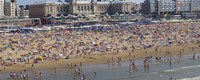 Extreme European heatwaves of 2019 now several times more likely due to climate change