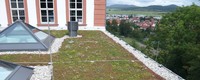 The benefits and price tag of greening European cities