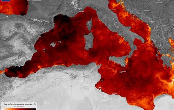 20250625_Mediterranean SST