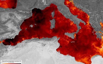 20250625_Mediterranean SST