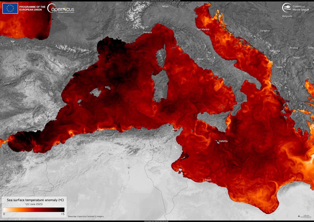20250625_Mediterranean SST