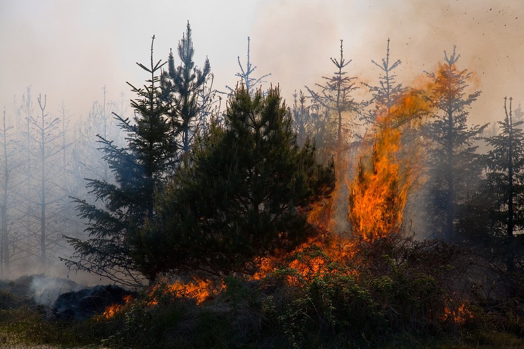 A new generation of wildfires characterized by extreme behavior