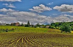 Adaptation potential of European agriculture in response to climate change