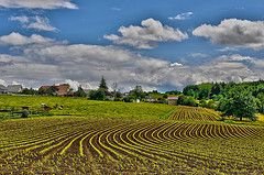 Adaptation potential of European agriculture in response to climate change