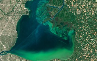 Phytoplankton blooms on lakes are increasing since the 1980s