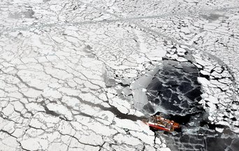 Loss of sea ice in the Arctic: Sad testimony of climate change, good news for the economy