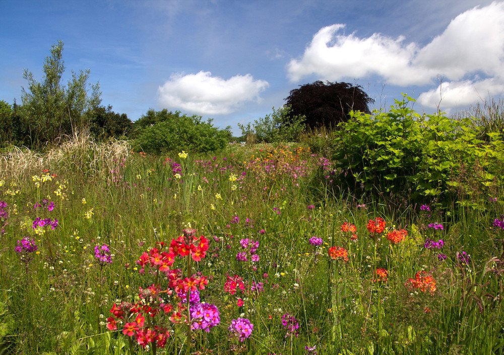 Climate change will affect biodiversity, regardless of the Paris Agreement