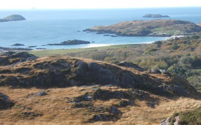 Projected loss of active blanket bogs in Ireland