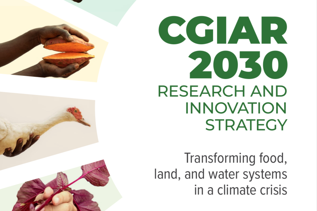 Investment into research must double to halt climate and food crises by 2030, warns CGIAR