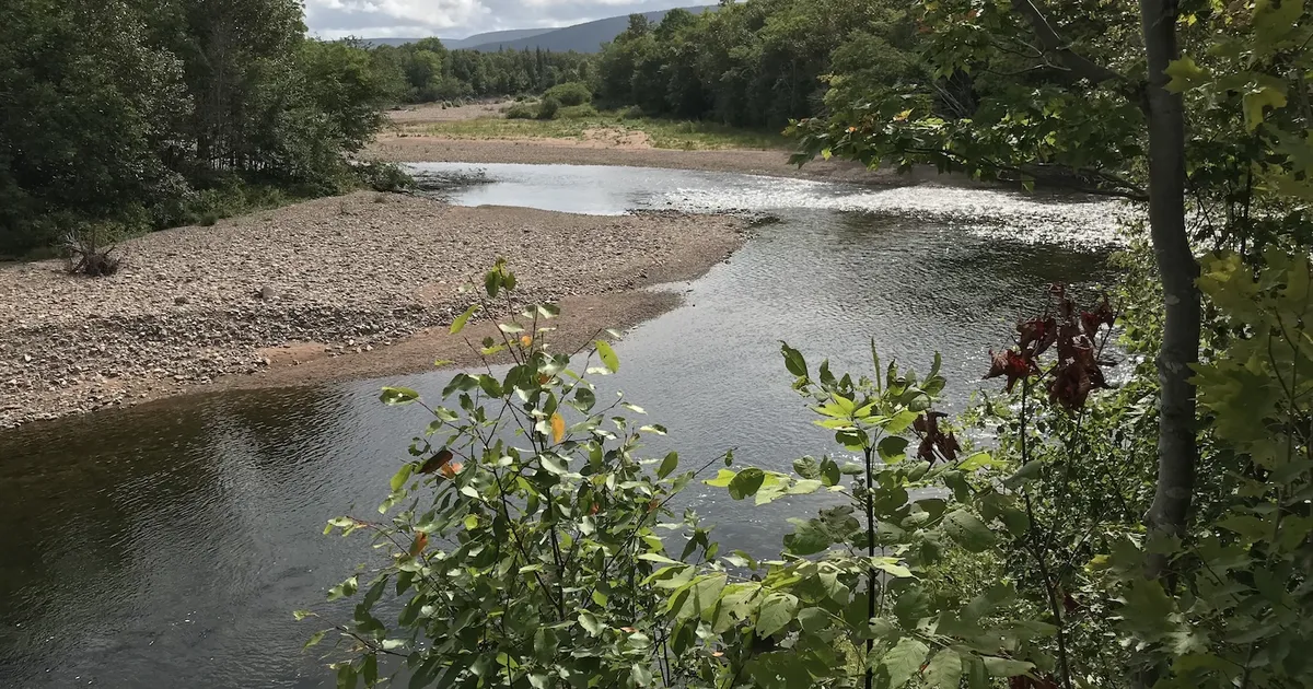 Our rivers are changing, and river management must follow suit ...