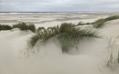 Coastal erosion