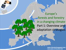 Forestry Part 1: Overview