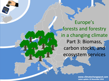 Forestry Part 3: Biomass