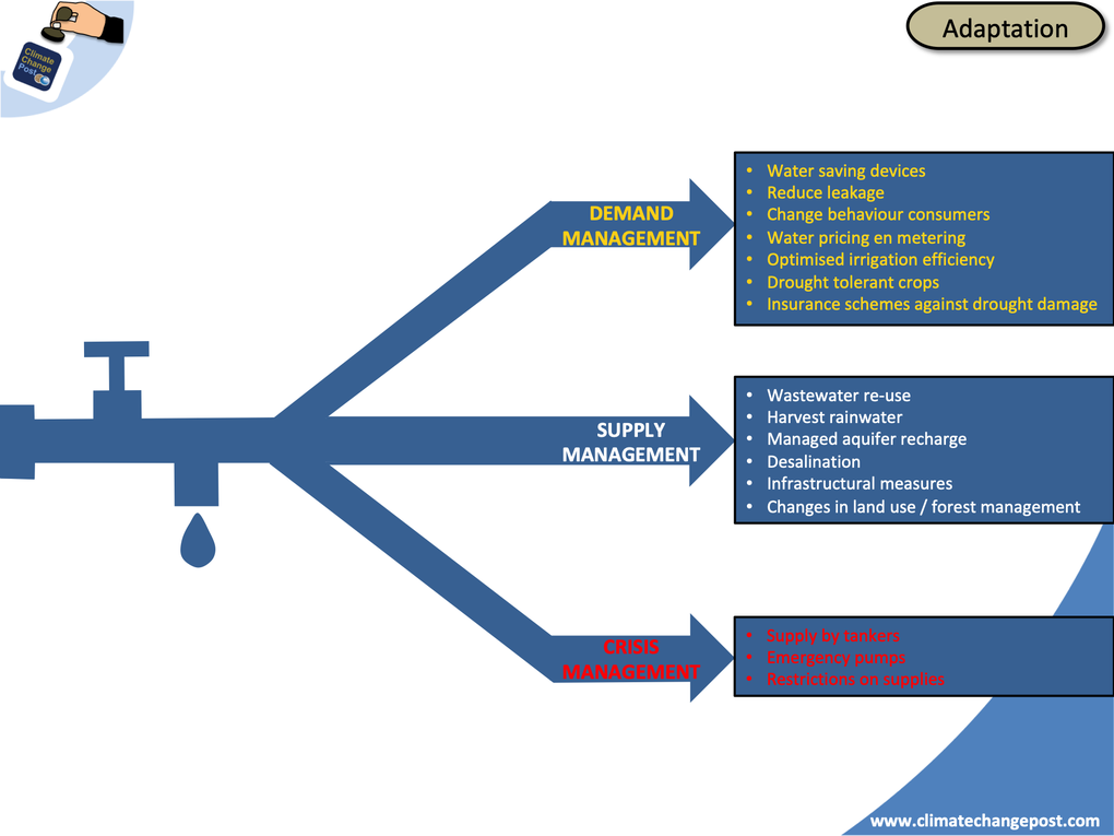 Fresh water Part 3: Adaptation