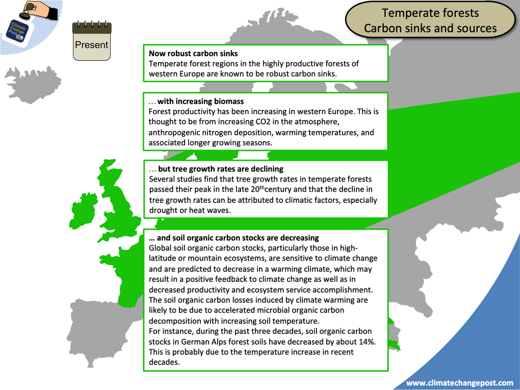 Forestry Part 3: Biomass