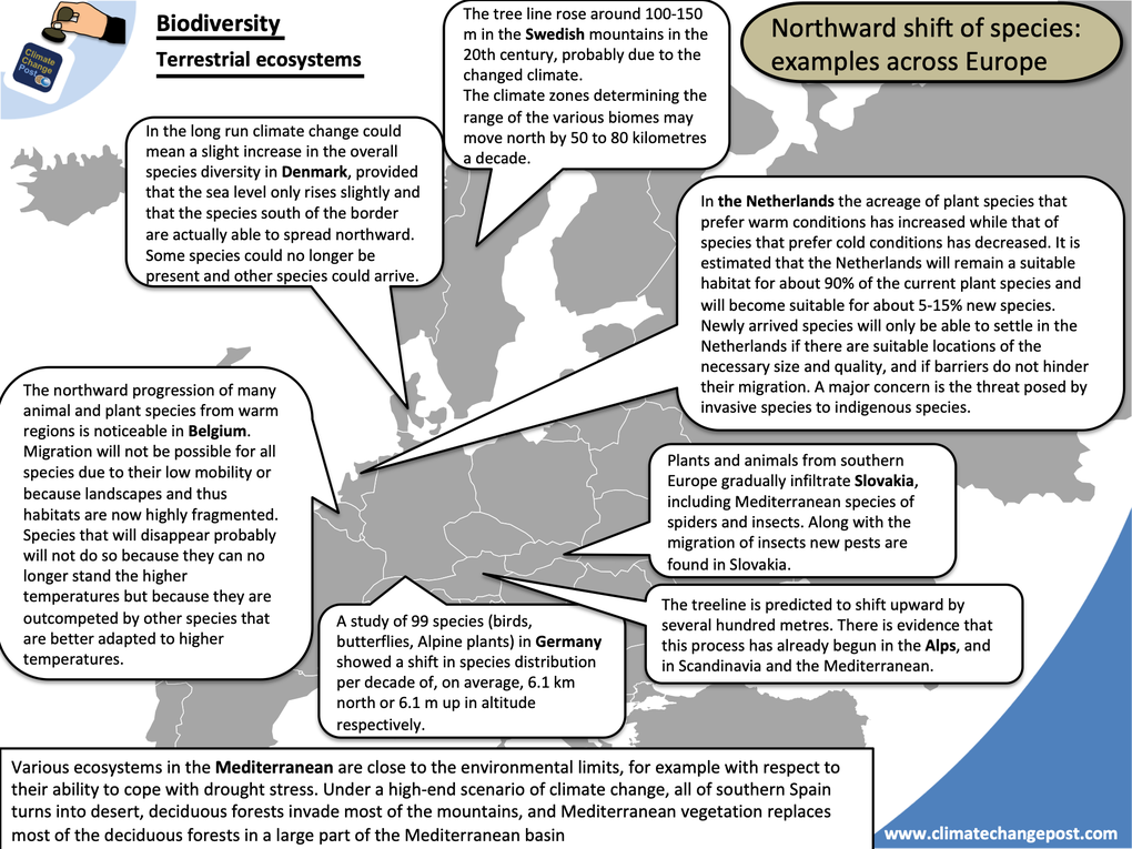 Biodiversity Part 4: terrestrial
