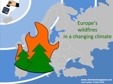 Forest fires