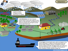 Fresh water Part 3: Adaptation