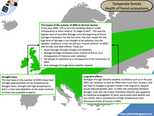 Forestry Part 2: Biodiversity