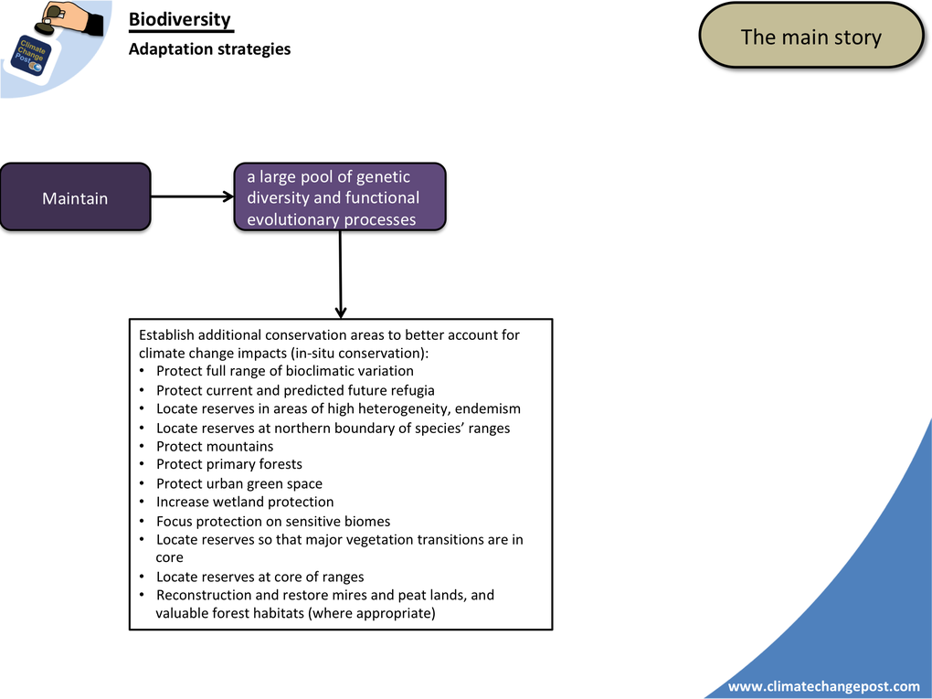 Biodiversity Part 1: Overview