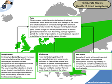 Forestry Part 2: Biodiversity