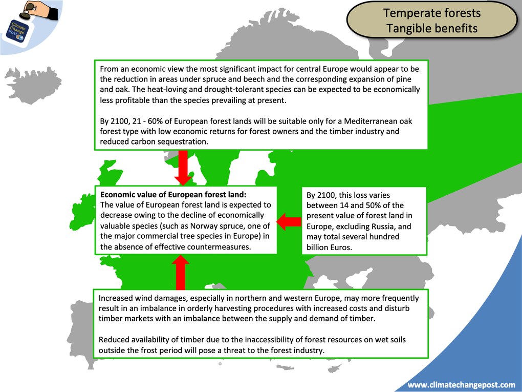 Forestry Part 3: Biomass