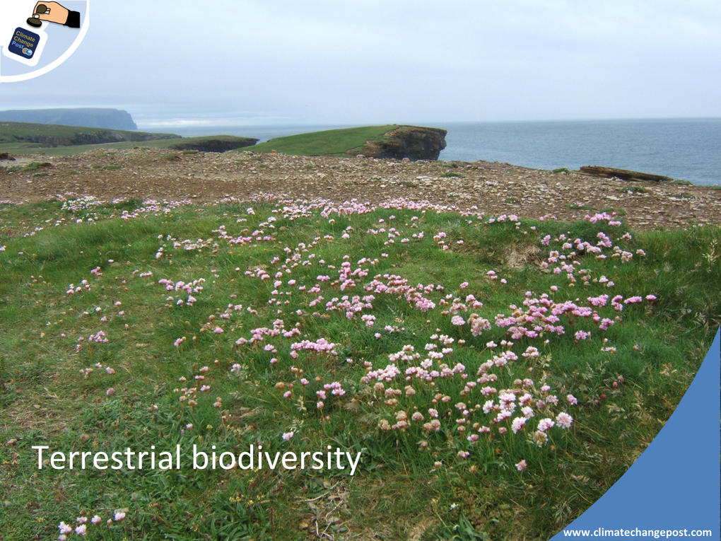 Biodiversity Climatechangepost Biodiversity Climatechangepost