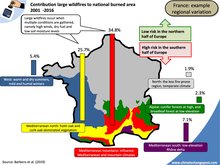 Forest fires