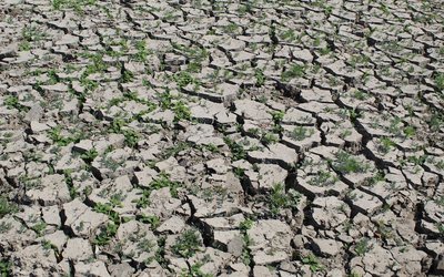 Droughts in the soil increase much less than droughts at the earth surface