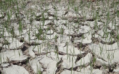 Drought in eastern Mediterranean worst of past 900 years