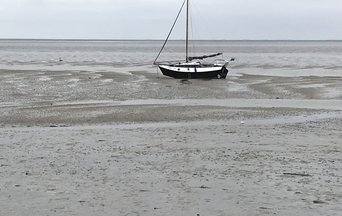 Dutch Wadden Sea