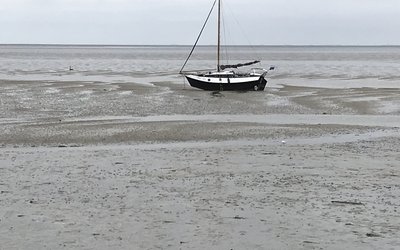 Dutch Wadden Sea