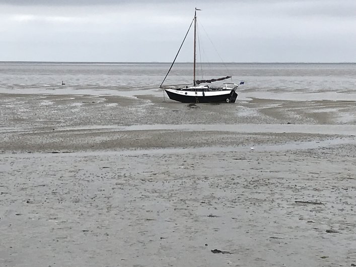 Dutch Wadden Sea