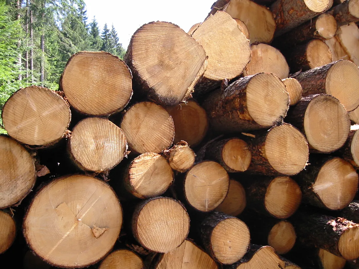 Europe's timber industry