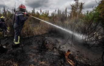 Firefighters