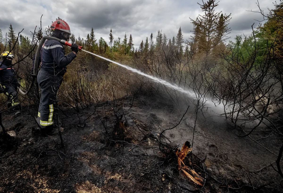 Firefighters