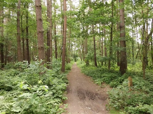 Economic value loss of European forest land due to climate change.
