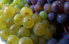 Changing geography of high-quality wine production in Europe