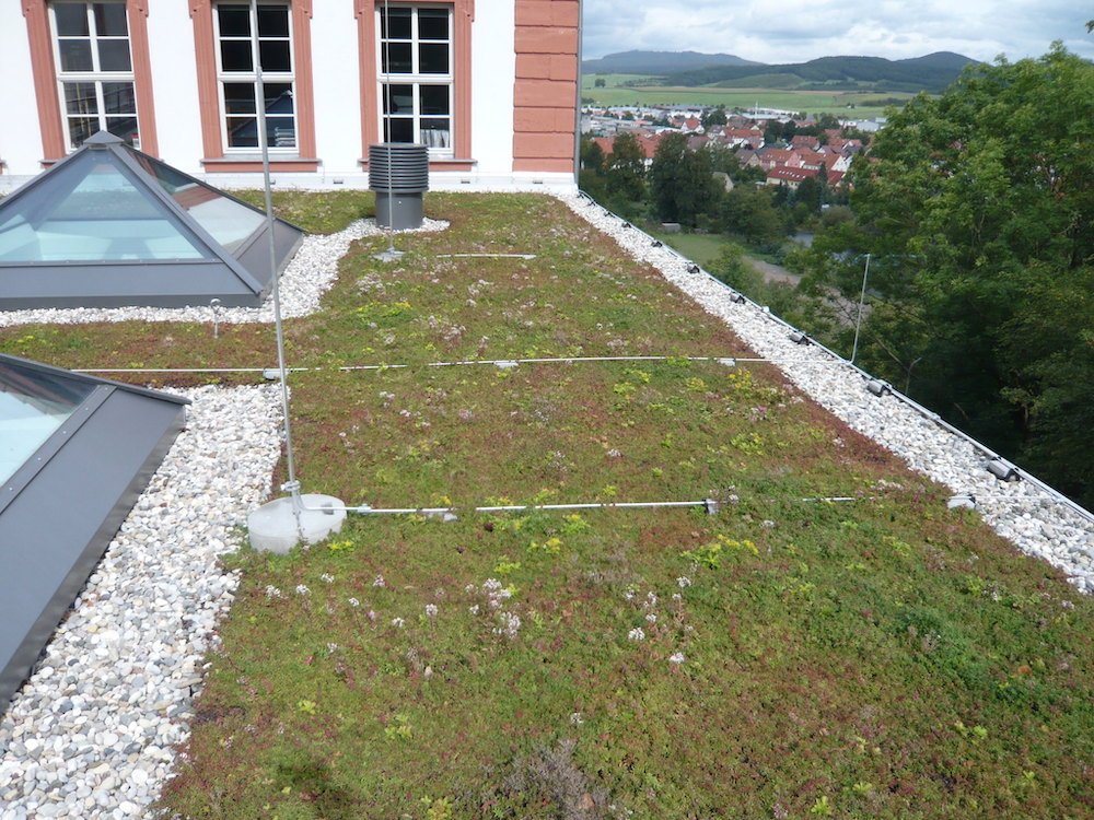 The benefits and price tag of greening European cities