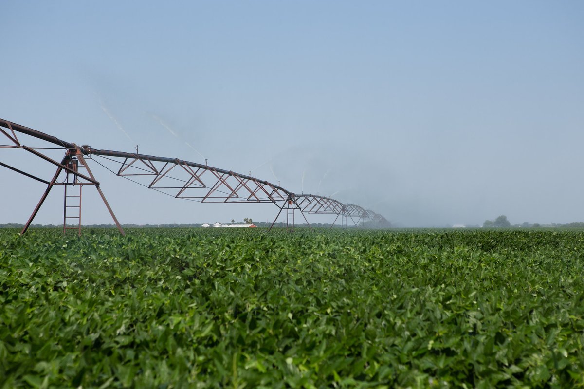 Global trends in groundwater levels: good news and bad news
