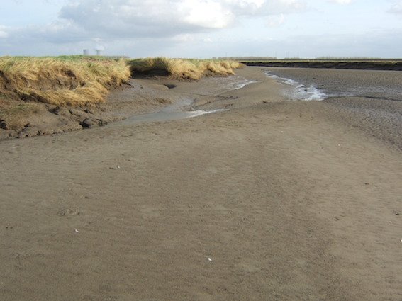 Building land with a rising sea