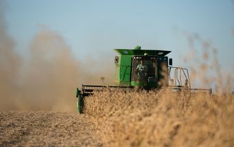 Risk of food production failures in different global breadbaskets at the same time has increased