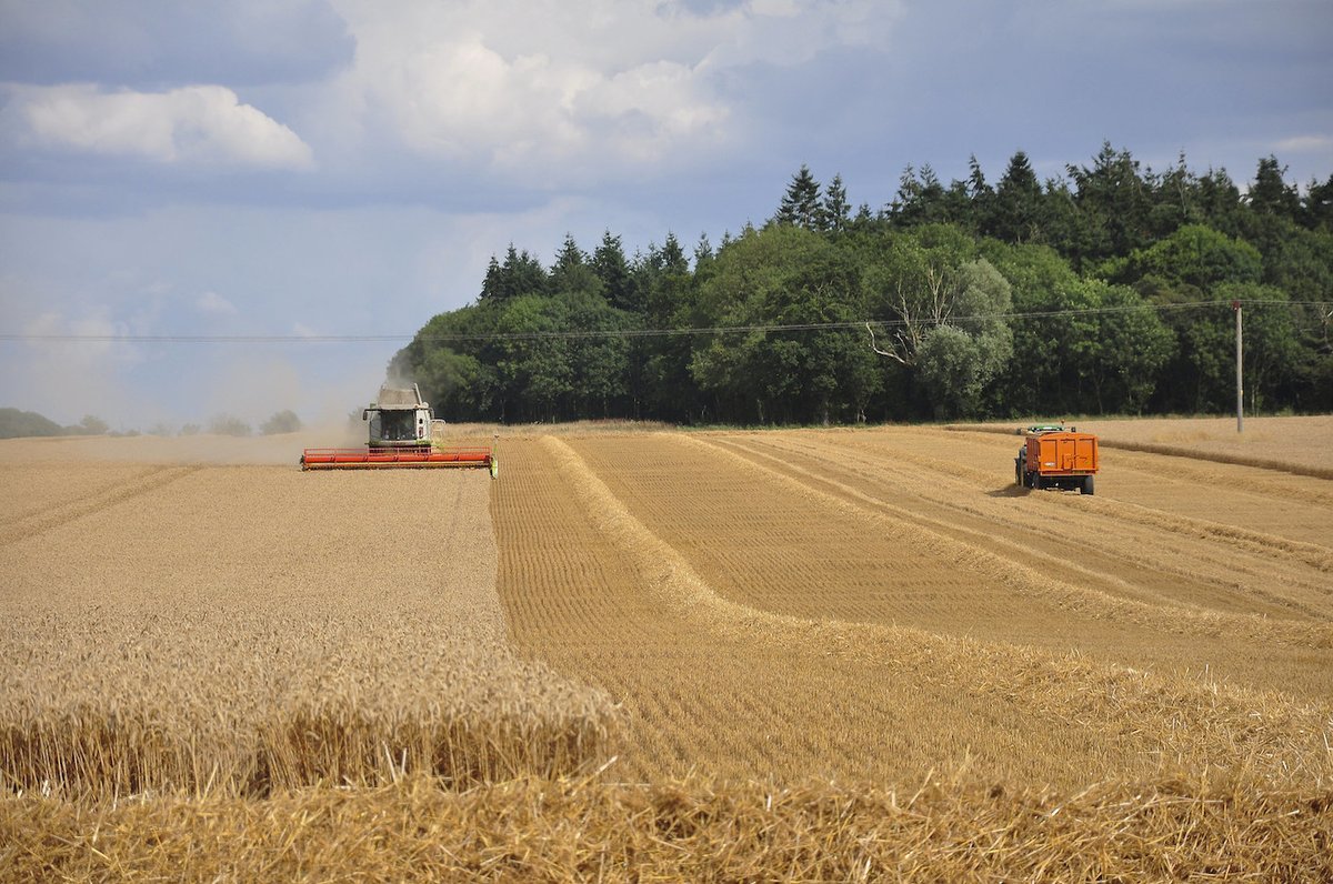 Climate change doesn’t have to increase the challenge of feeding the planet