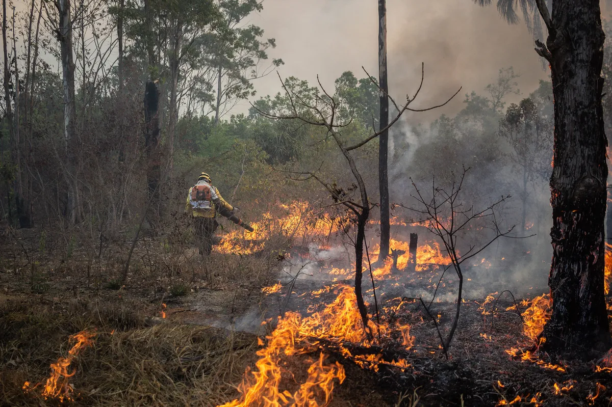 Wildfire Portugal